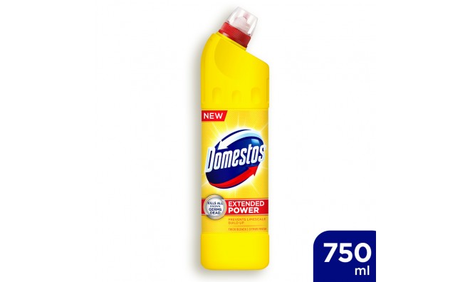 Domestos Extended Power